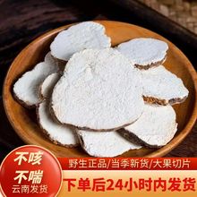 云南野生虎奶菌干货小儿虎乳灵芝菌老虎奶久咳不愈营养菌菇旗舰店