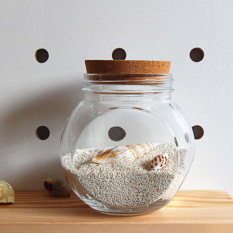 天然贝壳许愿瓶沙滩海螺漂流瓶治愈系海洋瓶玻璃瓶家居装饰摆件