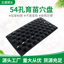 塑料种植盘54孔育苗盘蔬菜瓜果育苗穴盘育秧盘圆孔苗盘烟草盘