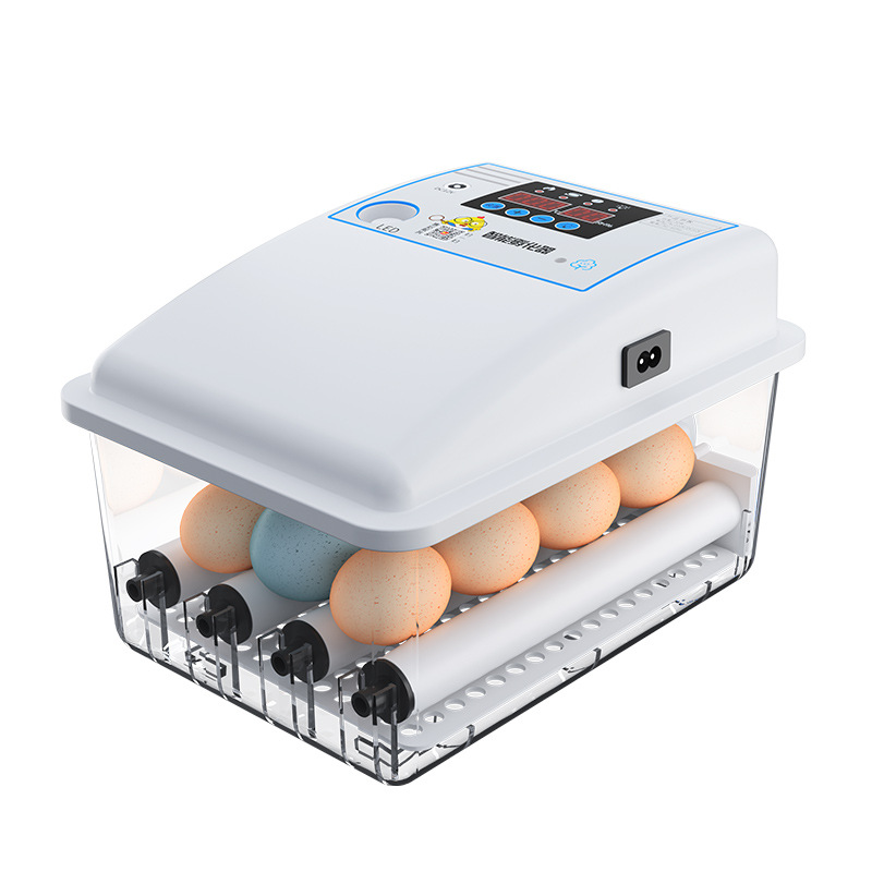 孵化器小型家用 迷你全自动智能家用型儿童鸟蛋小鸡孵蛋器1枚小型