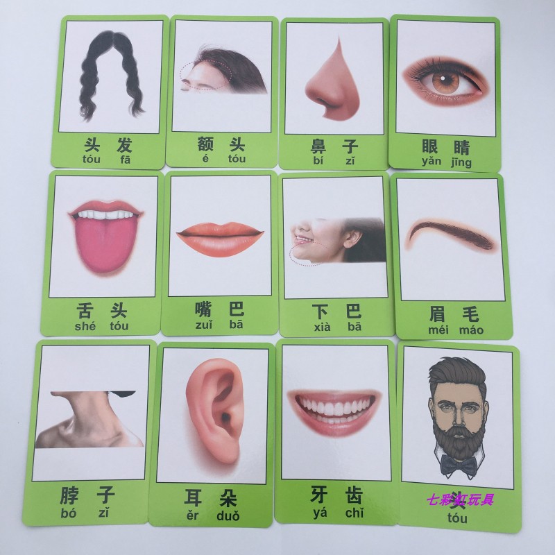 幼儿园早教人体分解图片认知身体五官卡片教学挂图儿童学习用品