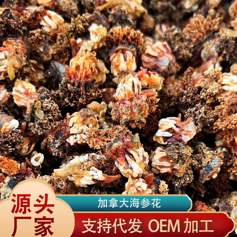 淡干冰岛北极红参卵孕妇海参籽批发散装500g加拿大海参花干货