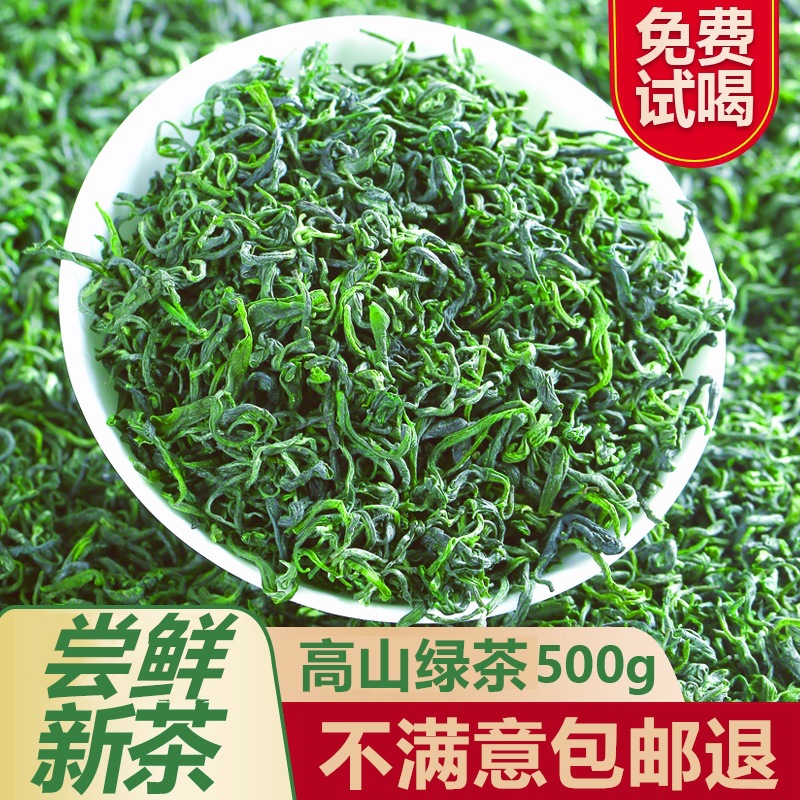 绿茶浓香型日照充足高山云雾新春茶袋装散装嫩芽毛尖茶叶袋装500g