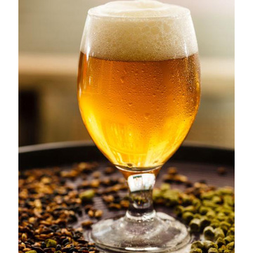 德式白啤比利时白啤 500/450毫升新瓶包装 精酿小酒馆用酒