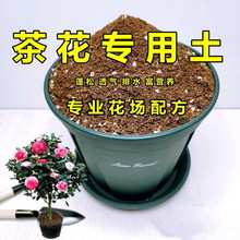 山茶花土弱酸性家庭种植土花卉盆栽土通用型花泥透气排水植料