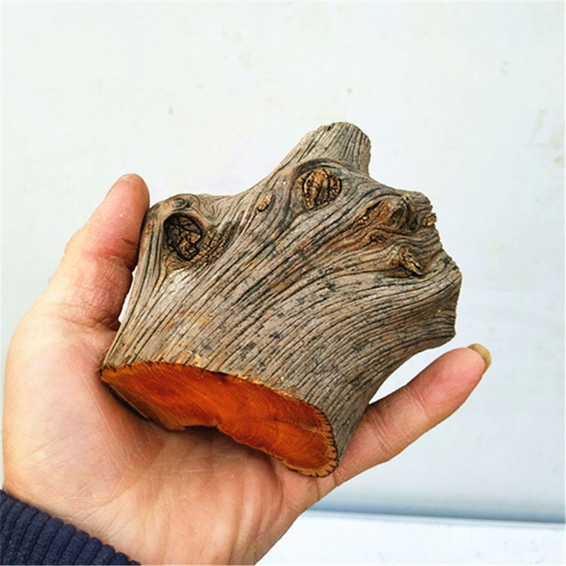 手把件太行崖柏毛料陈化黑油奶香虎皮纹手串原木风化树根弹弓根
