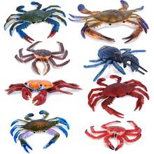 海洋动物模型螃蟹玩具梭子帝王青蟹3 5 岁户外儿童男