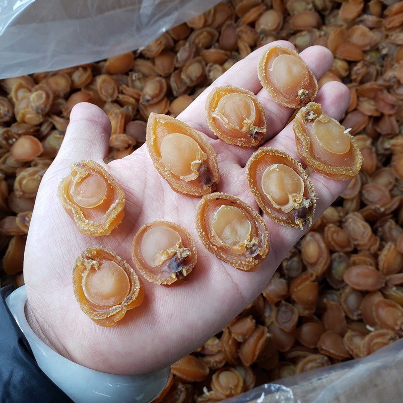 一手货源干鲍鱼100头150头鲍鱼干货大量货源足佛跳墙礼品深海海鲜