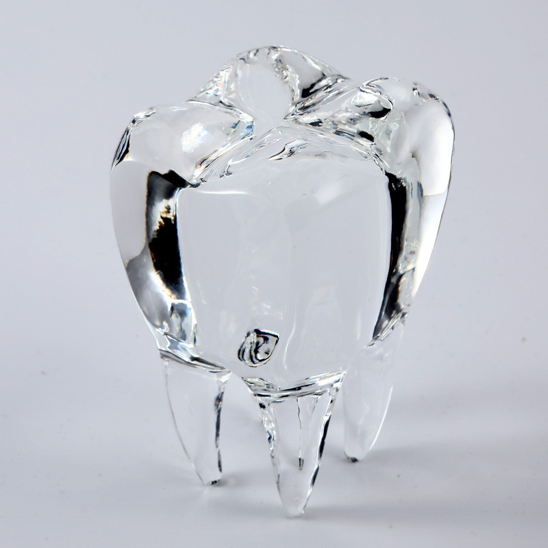 水晶牙齿纸镇 牙科桌面摆件牙齿工艺品 牙科诊所装饰品