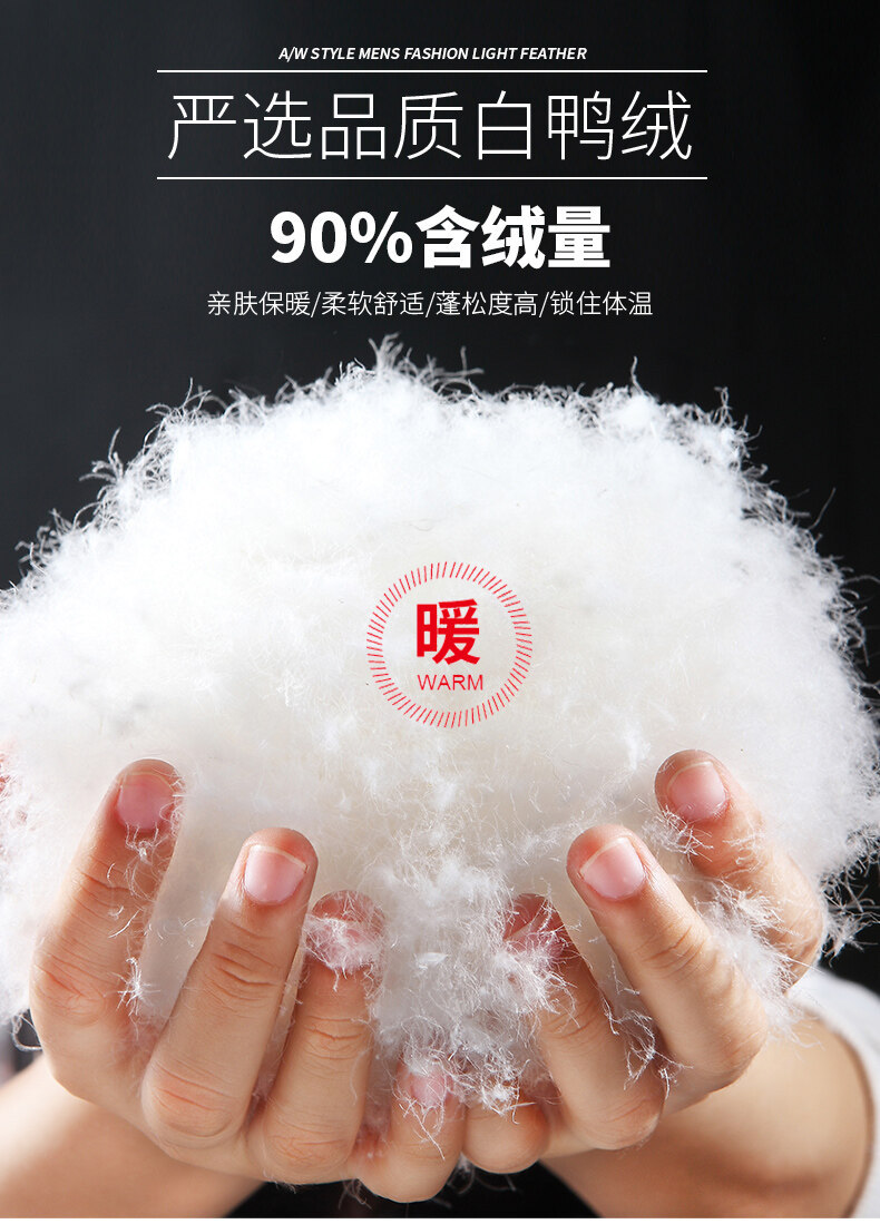 90白鸭绒羽绒服男2021新款加厚短款立领保暖男士冬季潮牌休闲外套