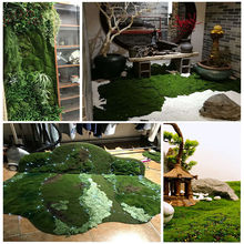 仿真苔藓草皮微景观盆景造景装饰 假苔藓青苔植物墙绿植人造草坪