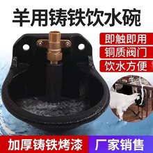 羊水碗羊自动饮水器加厚铜阀门塑料喝水碗养羊设备器械羊用饮水碗