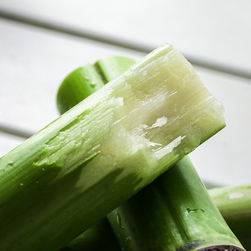 陶山甘蔗5斤新鲜绿皮甘蔗榨汁水果温州特产青皮甘蔗整箱代发rt