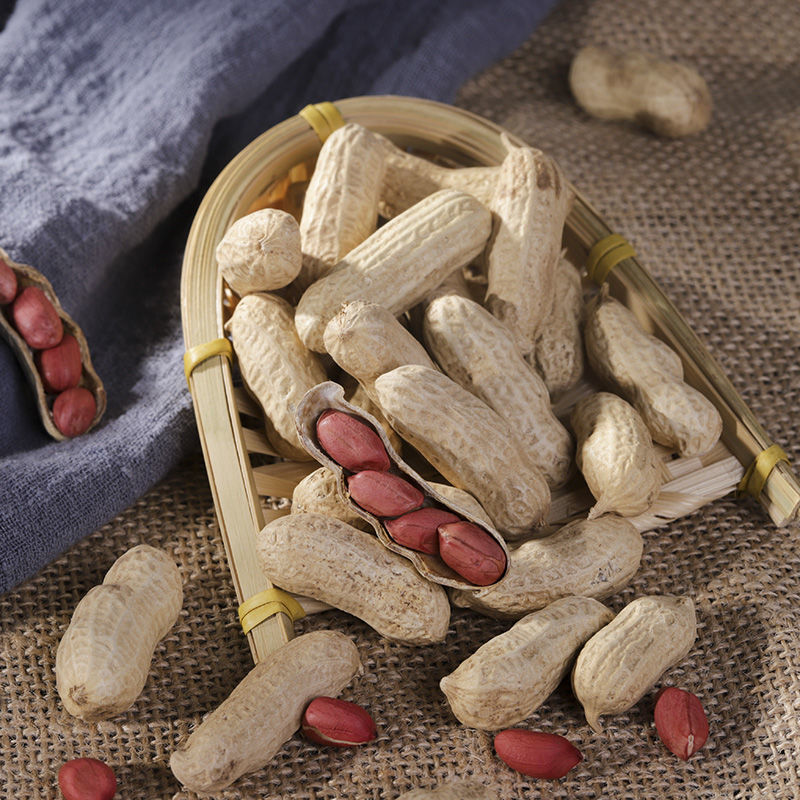 花生果东北 产地自销四粒红 生花生 带壳花生红皮花生3斤5斤-阿里巴巴