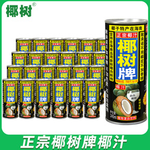 牌椰子汁245ml*24海南特产椰汁水植物蛋白椰奶果汁饮料