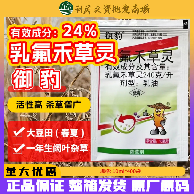 御豹240克/升乳氟禾草灵花生大豆半夏除草剂杂草灰灰菜除草剂
