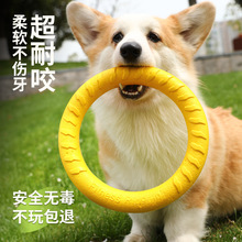 狗狗玩具飞盘训练耐咬巡回专用消耗体力自嗨圆环磨牙宠物橡胶软球