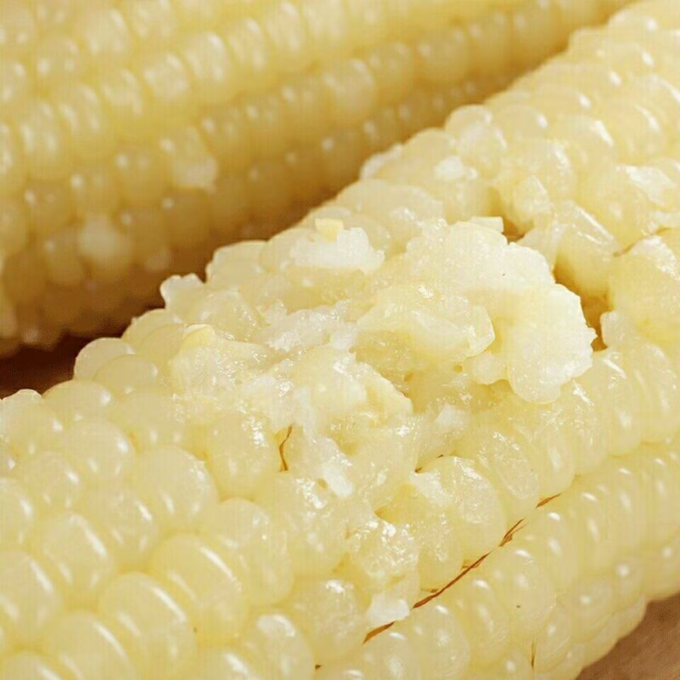 糯玉米新鲜速冻级大棒白糯玉米黄糯玉米应季采摘甜糯粘黏8-2棒