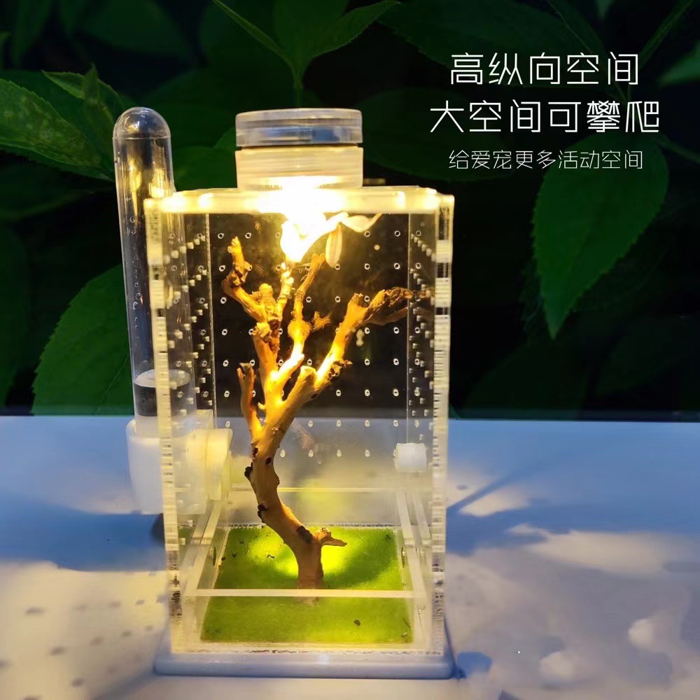 蝈蝈笼大别墅新款螳螂饲养盒跳蛛蜘蛛昆虫笼子鸣虫竹蛉打架-阿里巴巴