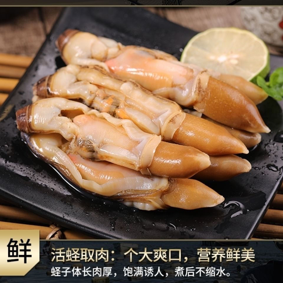 新鲜蛏王肉竹蛏肉蛏子肉现剥手指蛏肉鲜活冷冻大饱满无冰衣