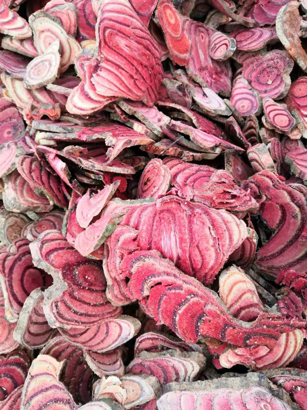 非种植大山鸡血藤 大血藤血藤血通 晒干干品切好片状晒干