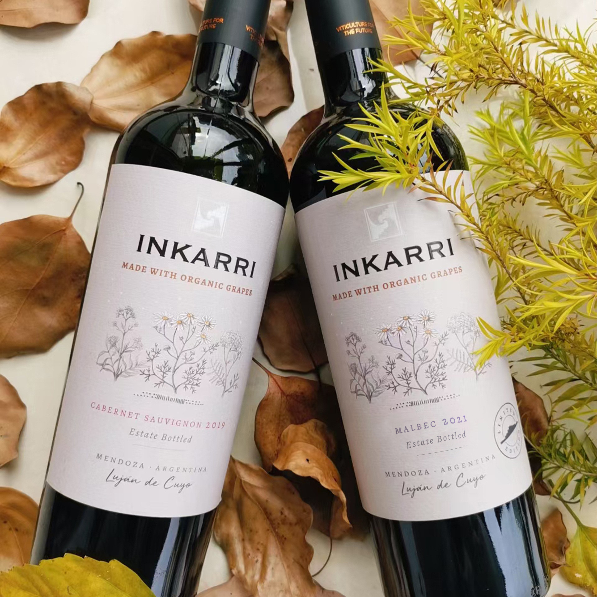 阿根廷原装原瓶进口红酒马尔贝克2021赤霞珠2019红葡萄酒组合批发