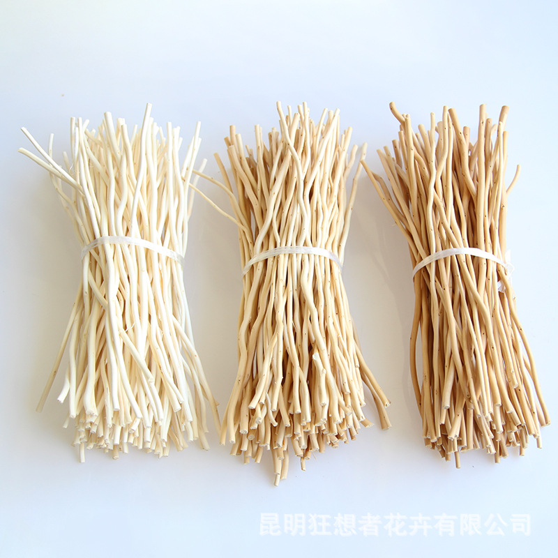 狂想者新品【挥发棒专用龙柳树枝系列】香薰藤条自然干花扩香树枝