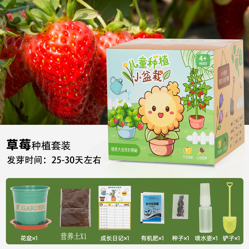 Children's Planting Pot Primary School Student Plant Germination Mini Observation Science Box Diy Kindergarten Tree Planting Festival Gift