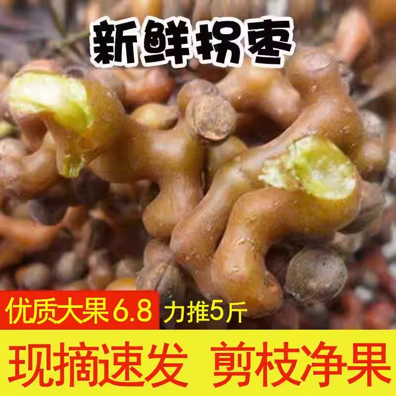秦岭新鲜野生拐枣干万寿果金钩子鸡爪梨枳椇果泡酒泡茶-阿里巴巴