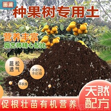 果树类土果树专用土果树家用盆栽营养土酸性沙质土壤绿植种植肥料