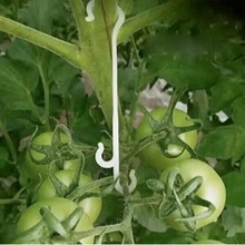跨境现货植物果实挂钩番茄茄子种植大棚配件防止果实串夹或脱落