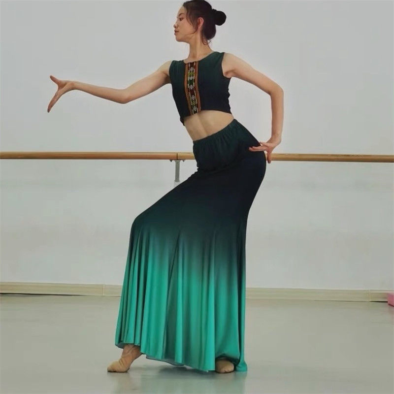 傣族舞蹈演出服练功裙表演服女傣族舞裙孔雀舞鱼尾半身裙艺考服装