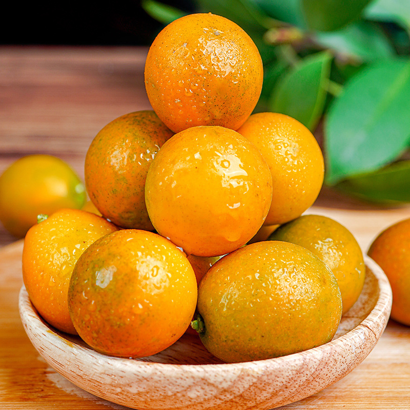 冰糖金桔金橘