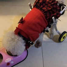 狗轮椅后肢瘫痪宠物代步车残疾狗狗后腿辅助猫泰迪大型小型犬支架