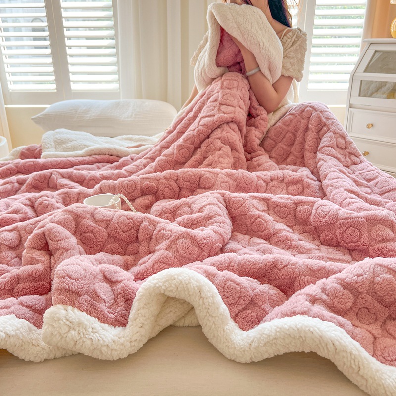 Winter Class a Tower Velvet Lambswool Duplex Felt Bedroom Sofa Thickened Warm Multifunctional Double-Sided Velvet Cover Blanket