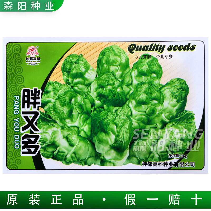 种都胖又多儿菜种子正早一号丁家儿菜大田芥菜种籽中晚熟特大儿菜