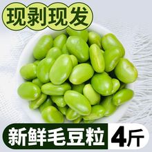 顺丰包邮农家自种新鲜去壳毛豆粒毛豆仁冷冻速冻生毛豆新鲜低批发