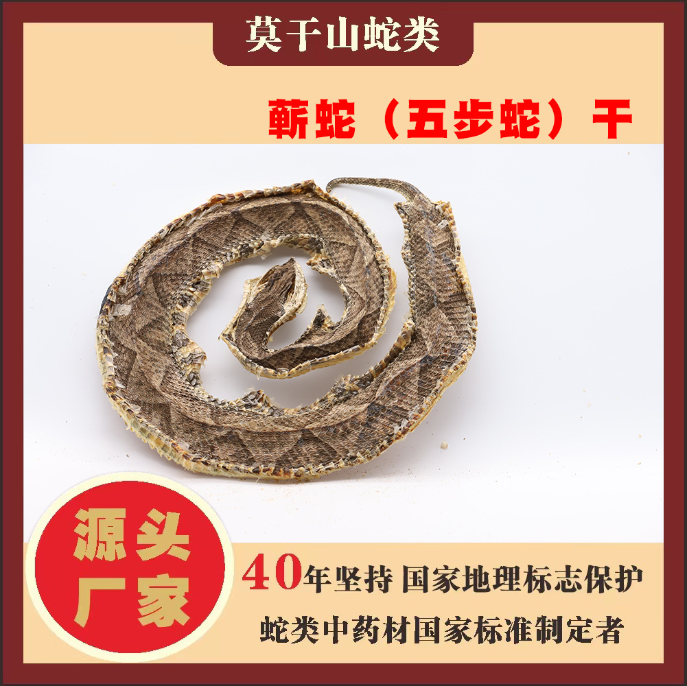 蕲蛇(五步蛇)干 专业厂商 质量保证 量大价优-阿里巴巴