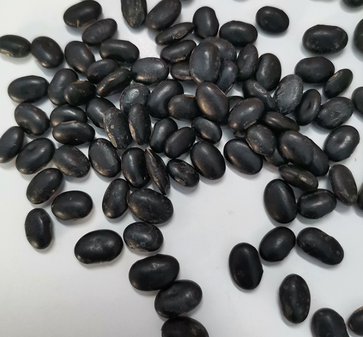 小扁黑豆 黄心黑豆 黄仁黑豆扁黑豆大包批发25kg50斤