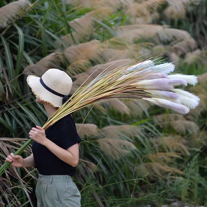 3头芦苇草仿真花狗尾巴草客厅假草装饰绿植假花干花大束落地蒲草