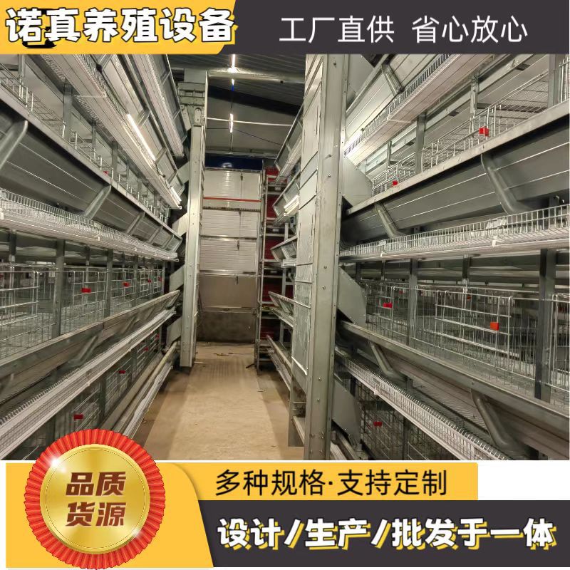 蛋鸡笼  捡蛋机h型鸡笼 层叠 自动化蛋鸡养殖设备 固定式升降式捡