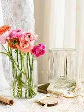 ins风玻璃花瓶透明水养鲜花玫瑰百合鲜花花瓶高级感客厅摆件