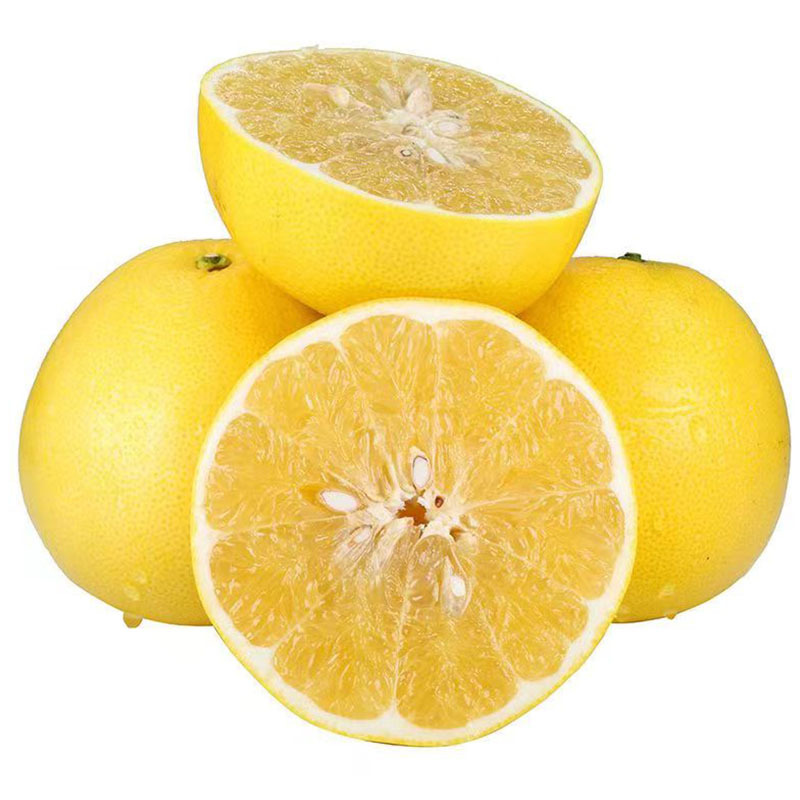 福建黄金葡萄柚当季新鲜水果爆汁柚子礼盒黄心西柚葡萄柚一件代发