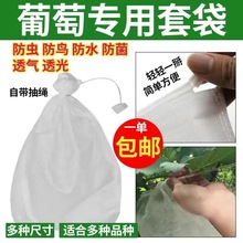 无纺布葡萄套袋防虫防鸟防雨水果袋露天透气透明保护套袋瓜果