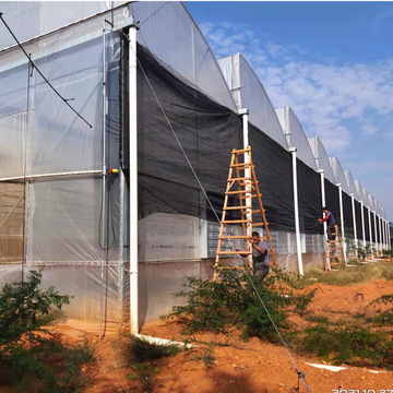 【热销产品】锯齿型温室通风育苗连栋温室大棚【免费设计】