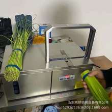 食品打捆调节松紧小型扎捆机 小型蔬菜打捆机 电动捆扎机