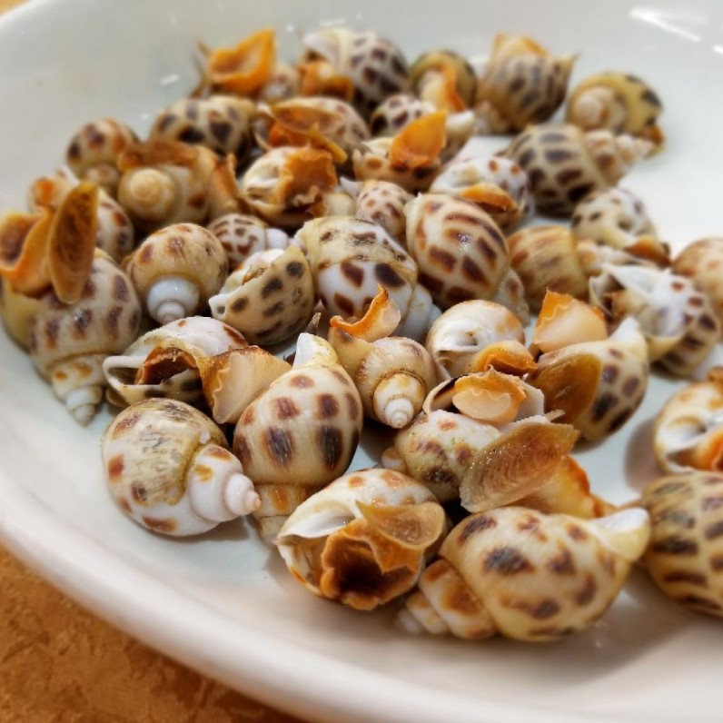 鲜冻小海螺花螺500g当季海捕酒店饭店家庭-阿里巴巴
