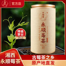 【莓茶】永顺莓茶张家界龙须芽尖春茶厂家直销