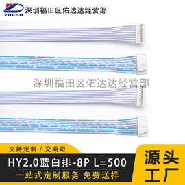 HY2.0蓝白排线2468#24号线单双头2P-12P电子线线束加工可按需定制