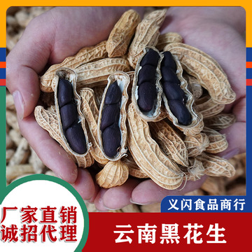 新黑花生5斤半斤 带壳黑花生富硒黑皮籽农家原味云南普洱特产包邮